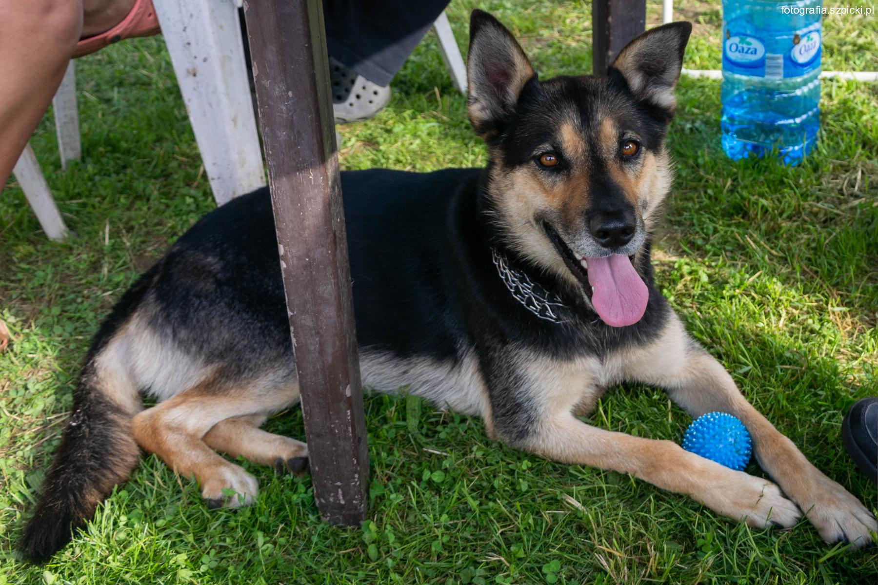 Luna Brenna 13-07-2020