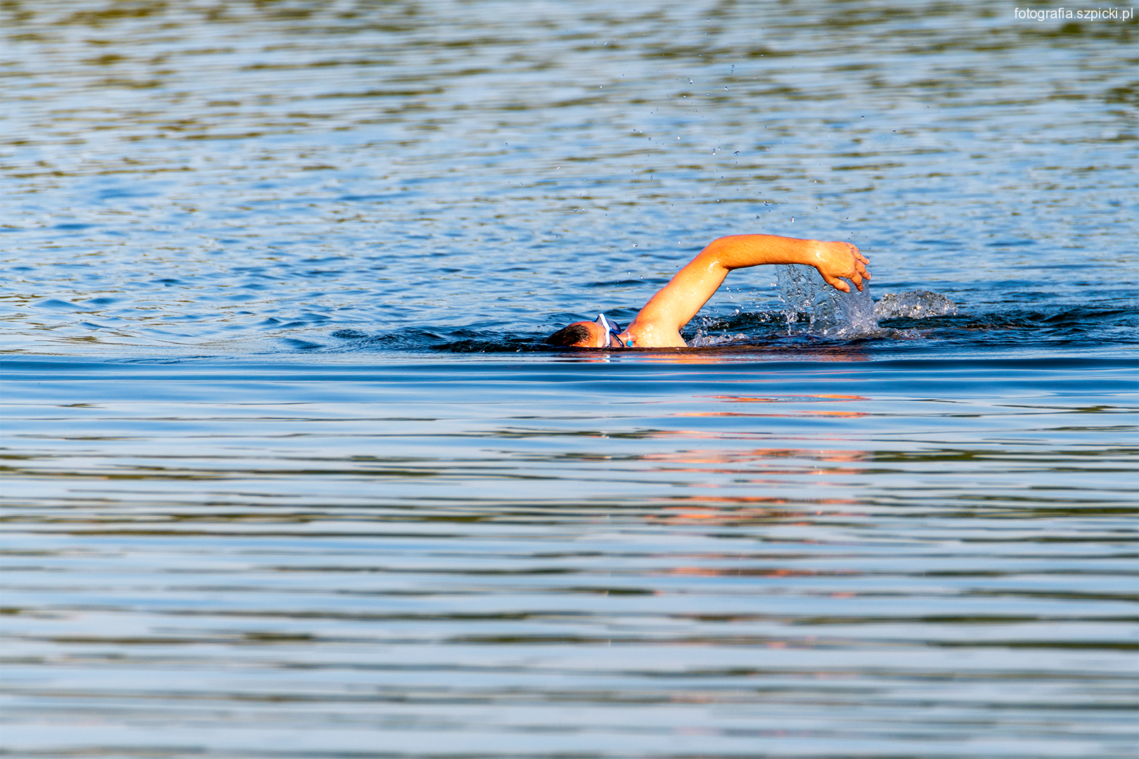 Pływak - Pogoria 3 - 10-09-2021