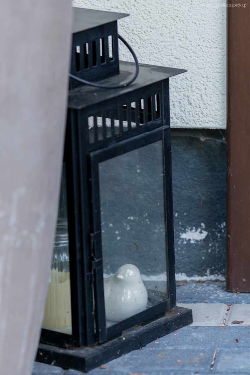 Ptak w latarni - pensjonat Anna - Brenna sierpień 2021