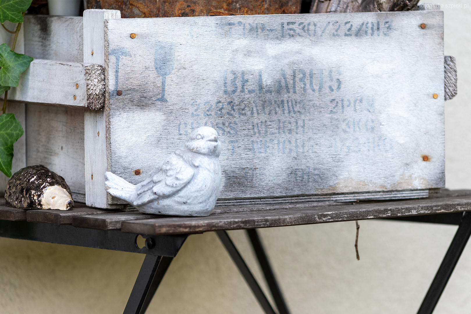 Ptak i skrzynia - pensjonat Anna - Brenna sierpień 2021