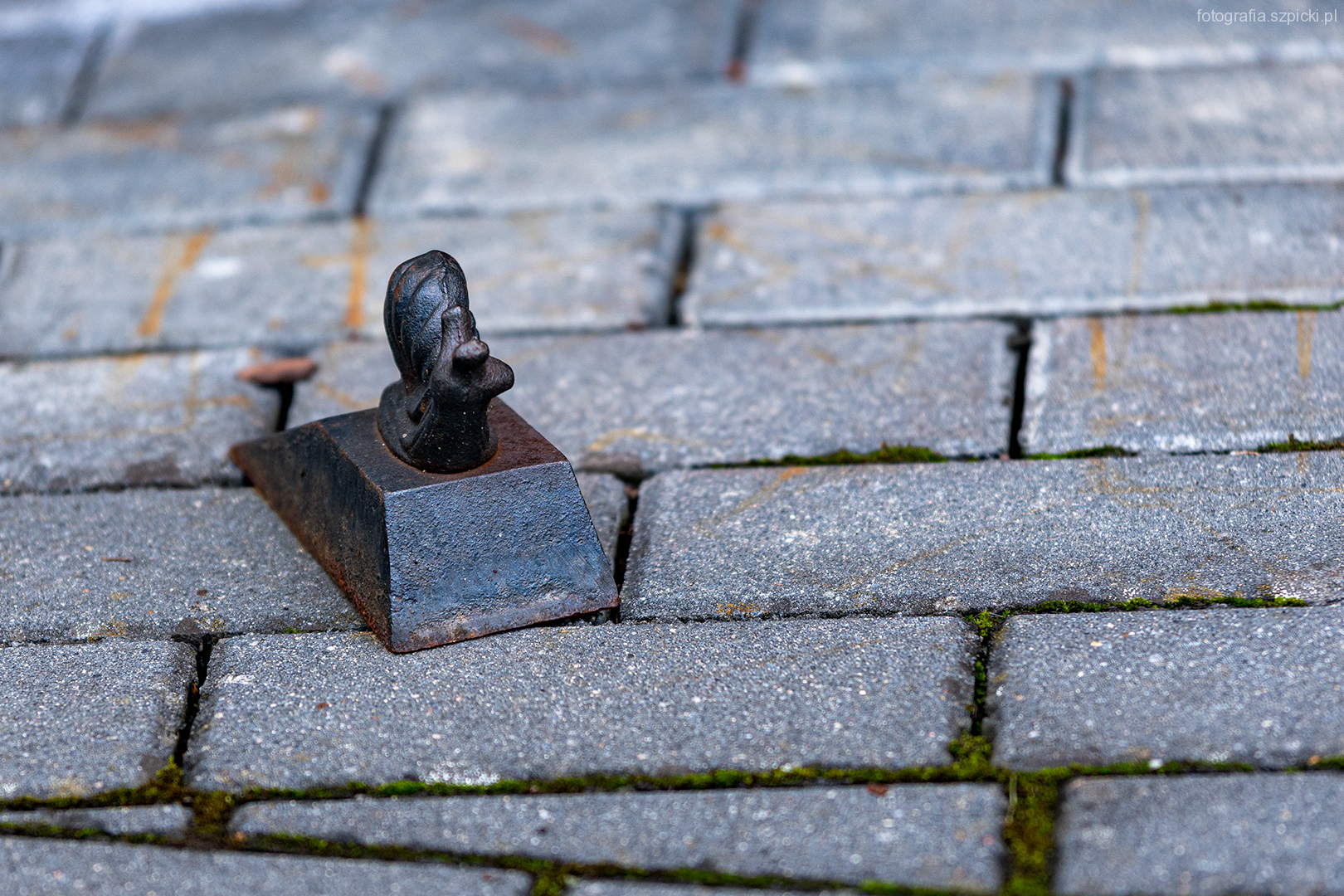 Ślimak - blokada drzwi - pensjonat Anna - Brenna sierpień 2021