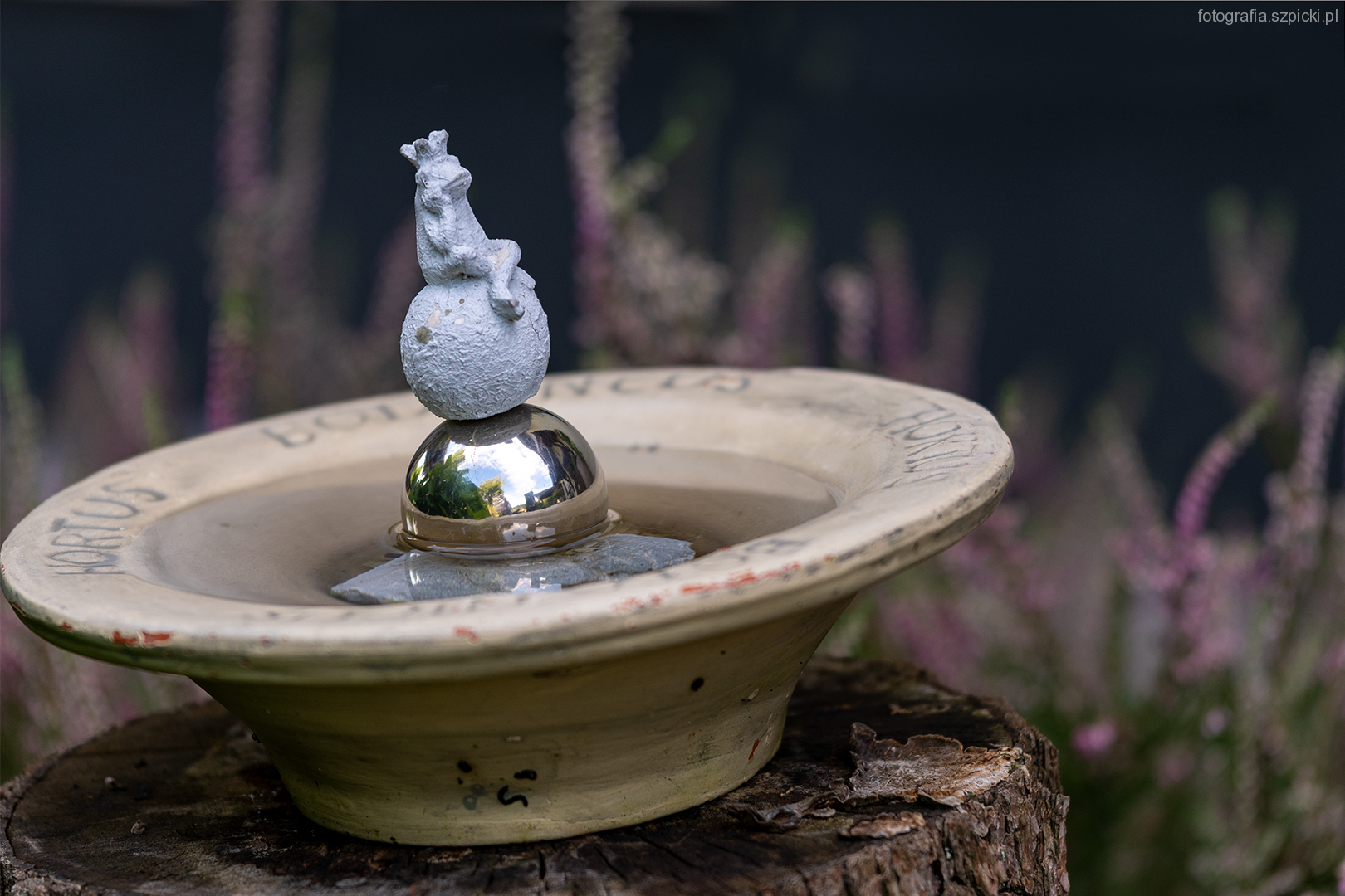 Zaklęta w żabę - pensjonat Anna - Brenna sierpień 2021