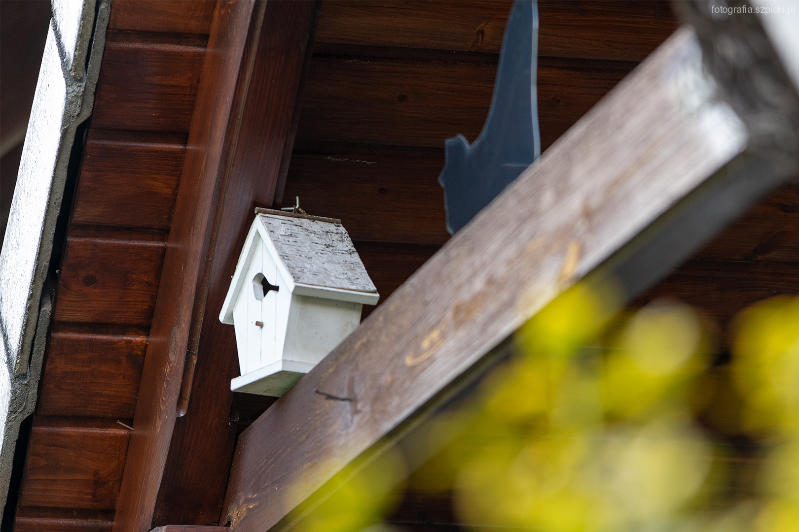 Domek dla ptaków - pensjonat Anna - Brenna sierpień 2021