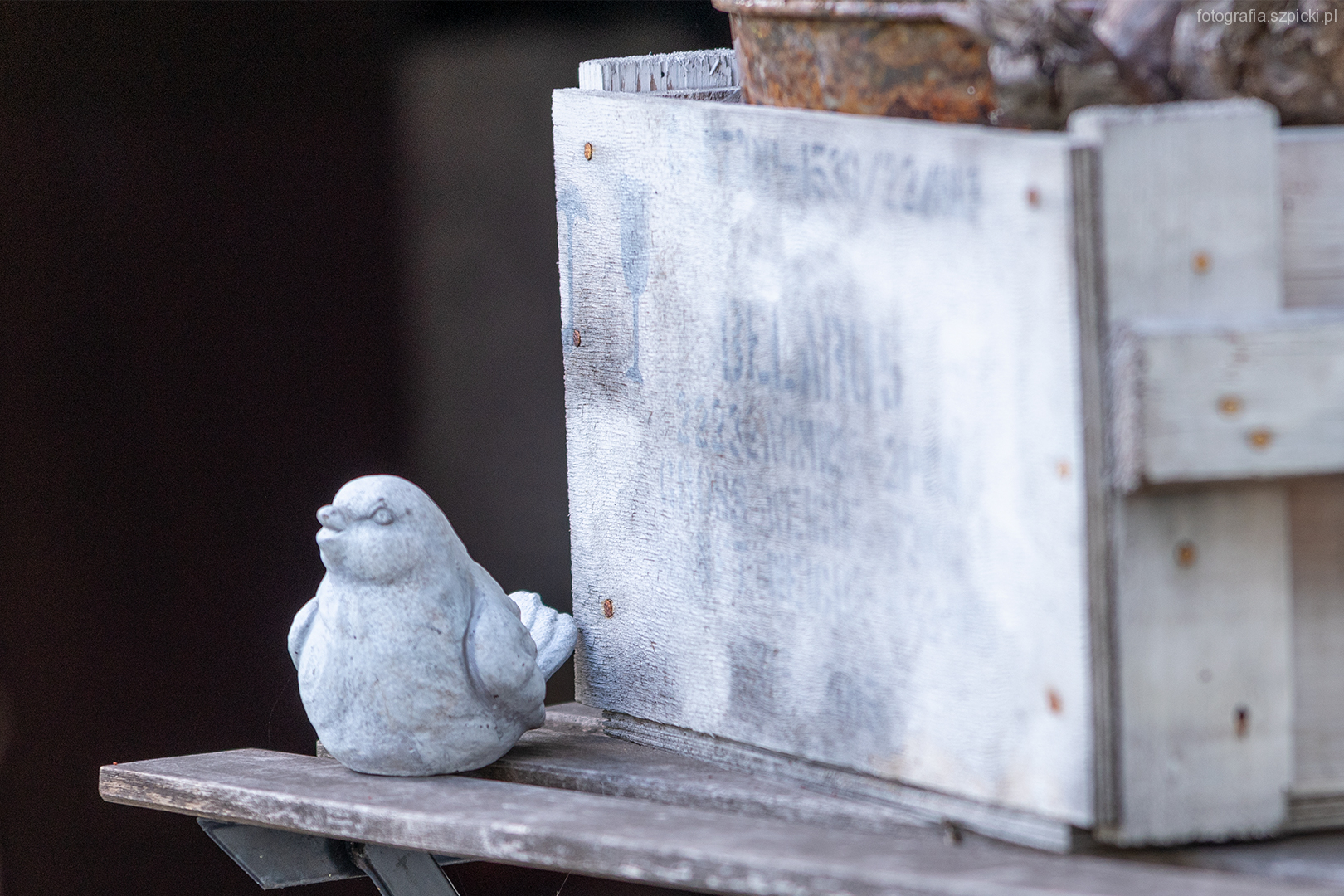 Ptak - pensjonat Anna - Brenna sierpień 2021