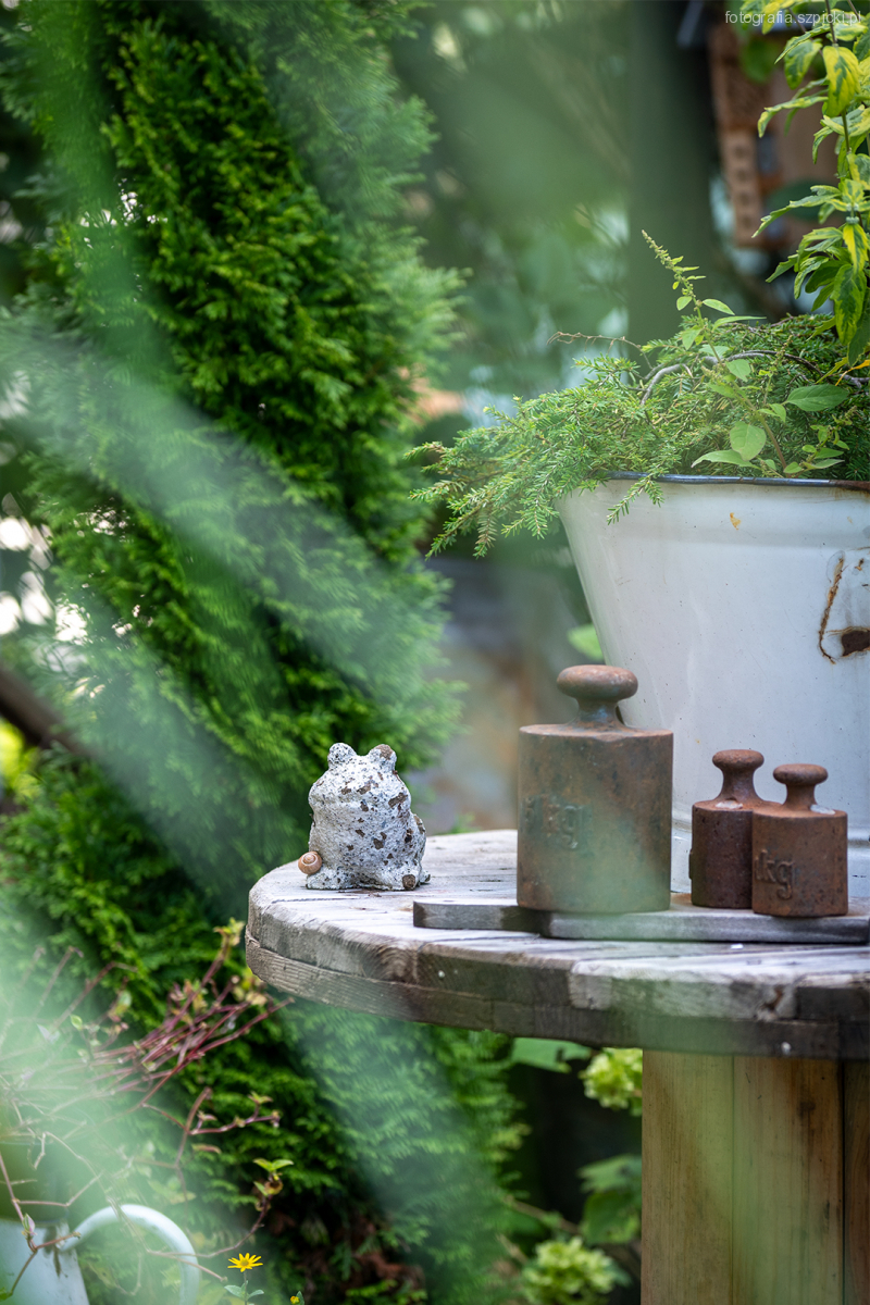 Żabka i odważniki - pensjonat Anna - Brenna sierpień 2021