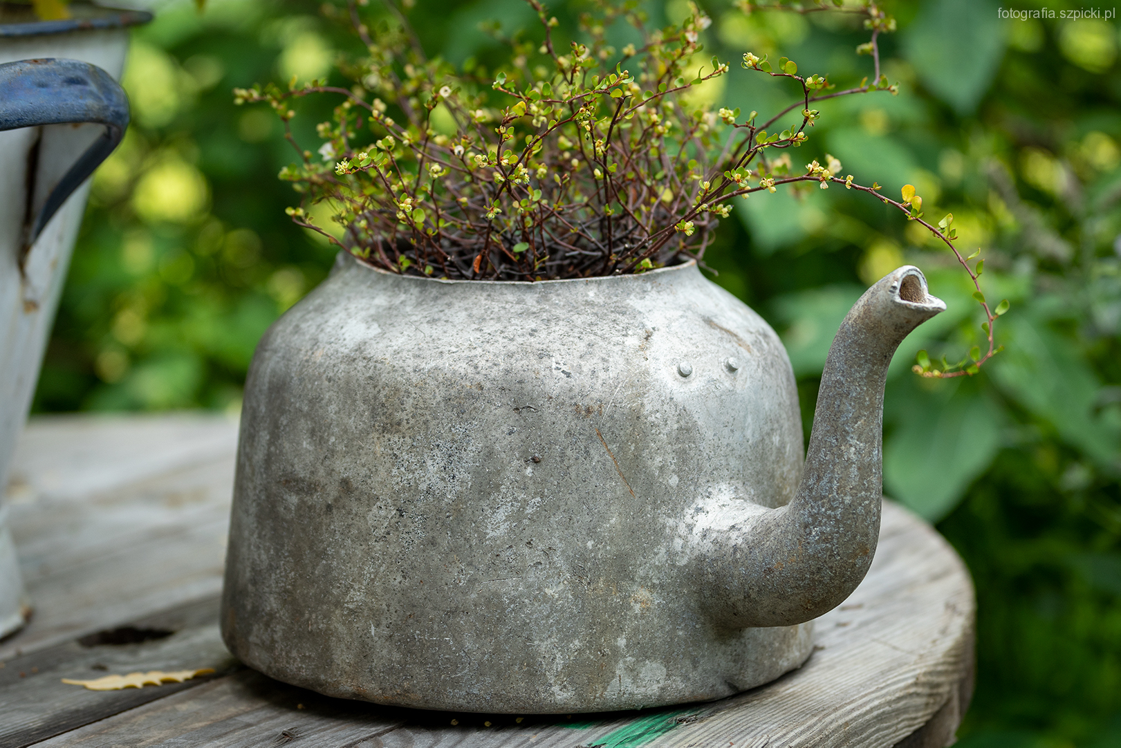 Imbryk - pensjonat Anna - Brenna sierpień 2021